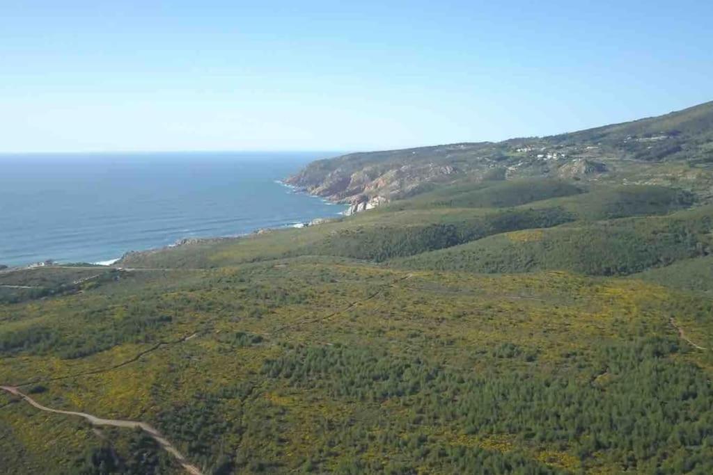 Roots House Villa Кашкайш Екстериор снимка
